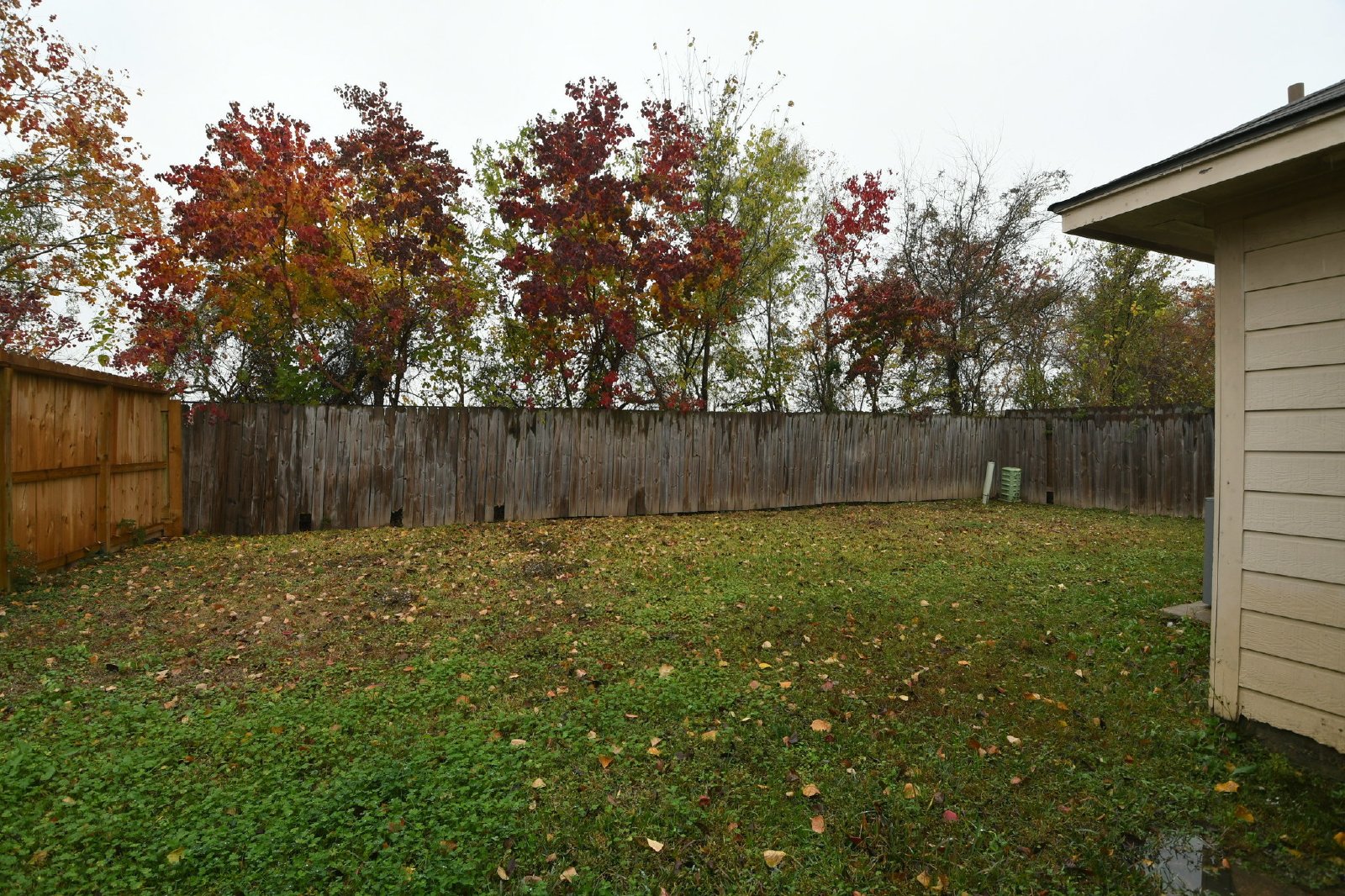 8611 Texas Texas Acorn property image