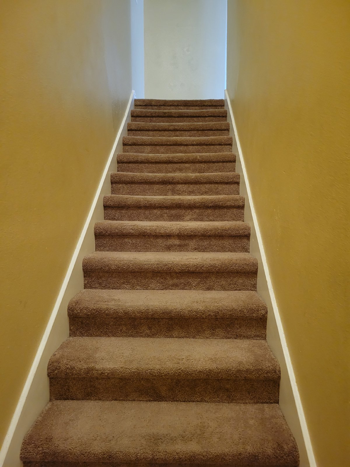 Two-story rental home available in Darbydale Xing Sec 2! property image