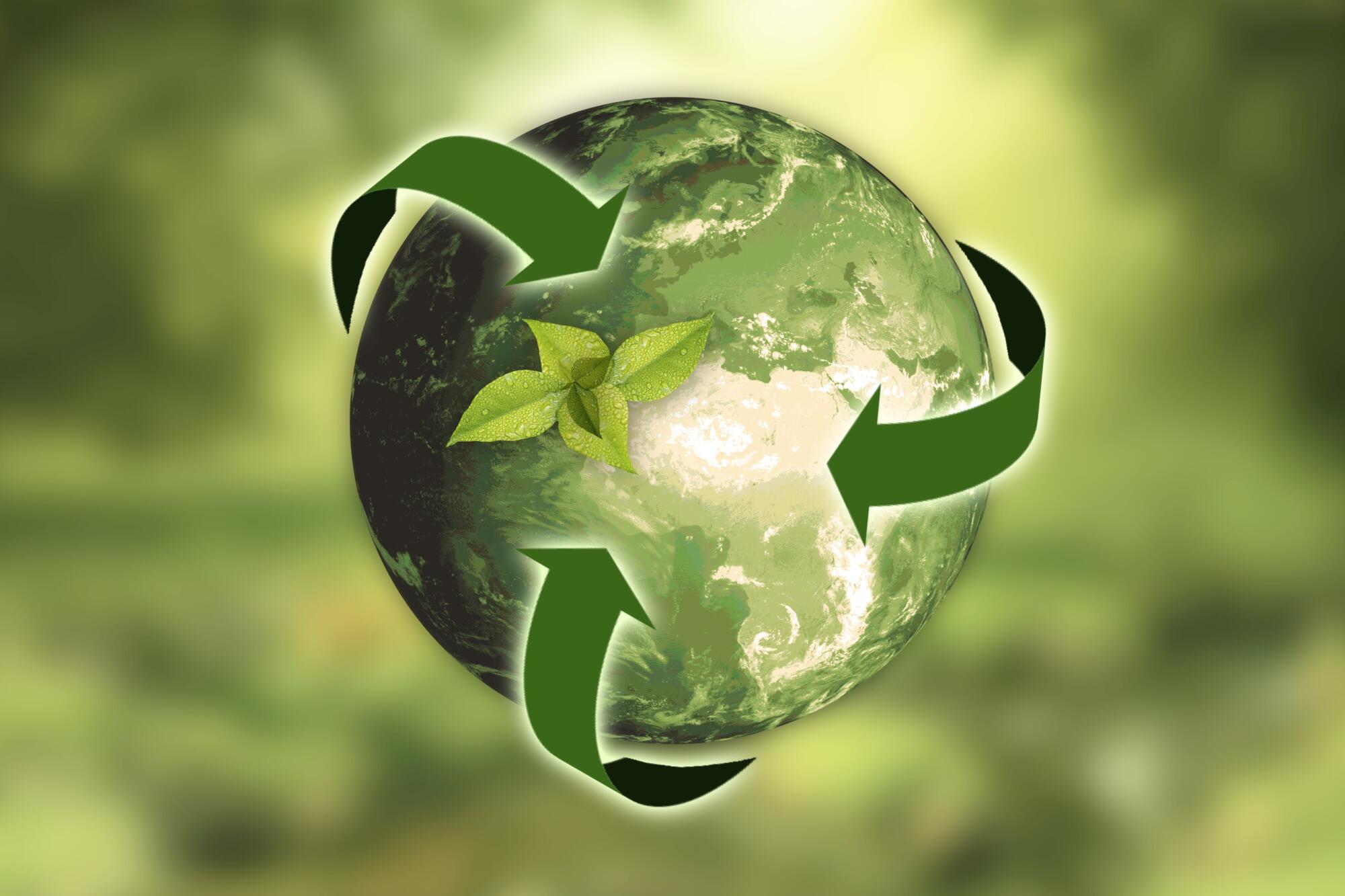 Sustainable Property Management: Environmentally Sound Buildings
