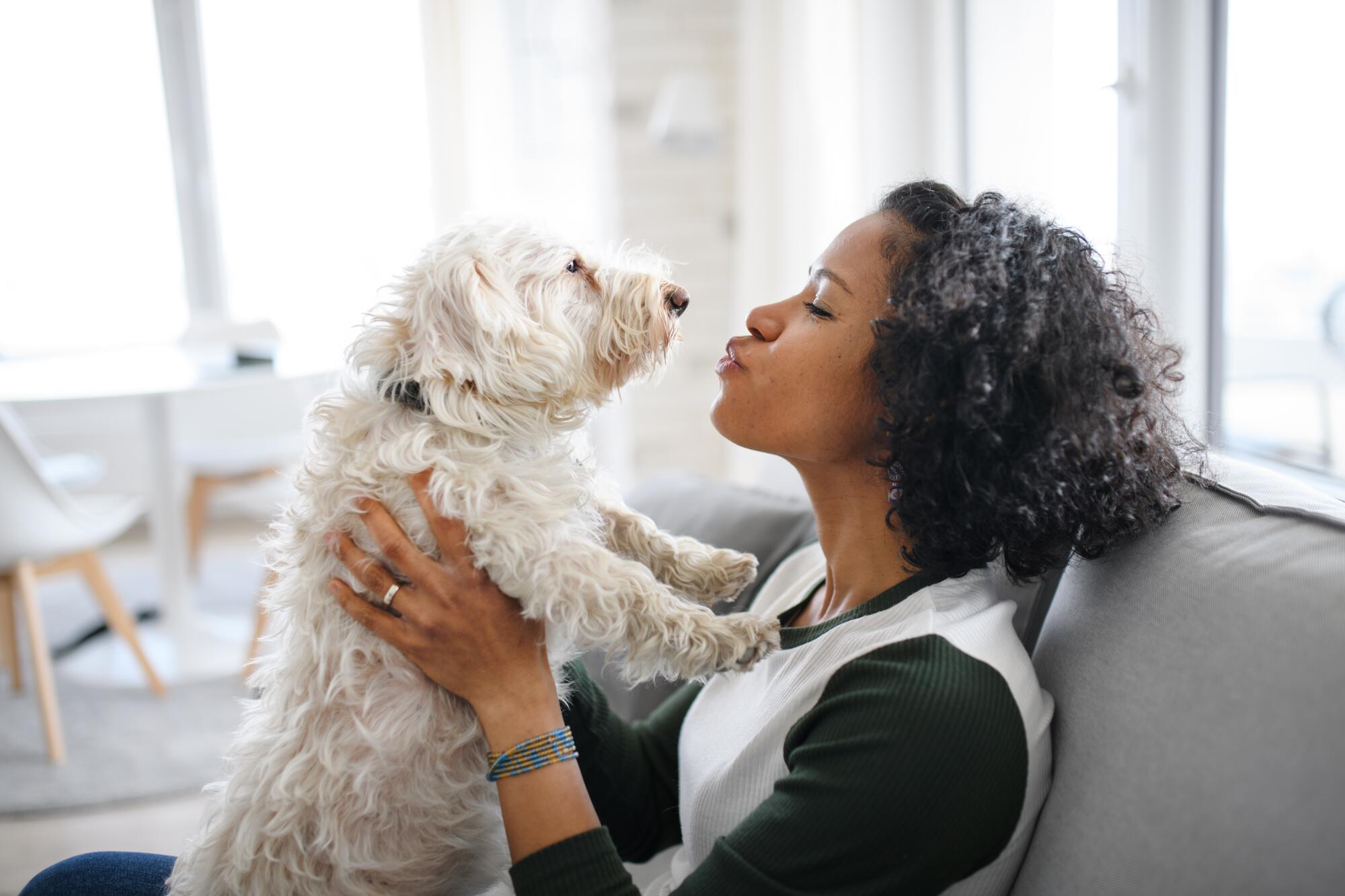 The Pros and Cons of Allowing Pets in a Rental Property